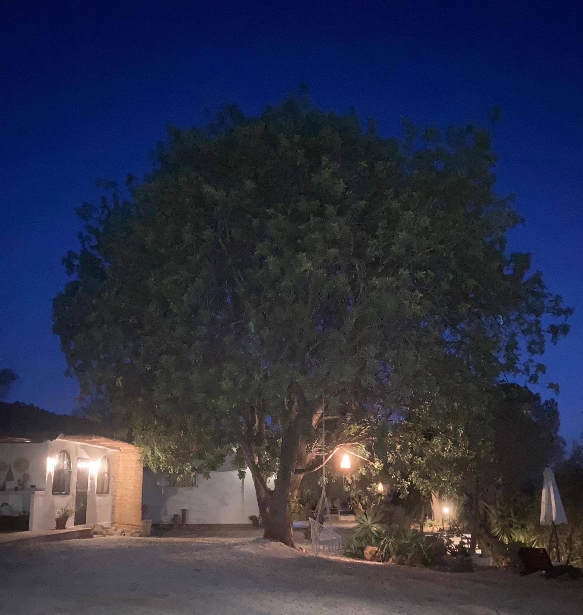 לינה וארוחת בוקר אלורה Casa Del Sueno מראה חיצוני תמונה