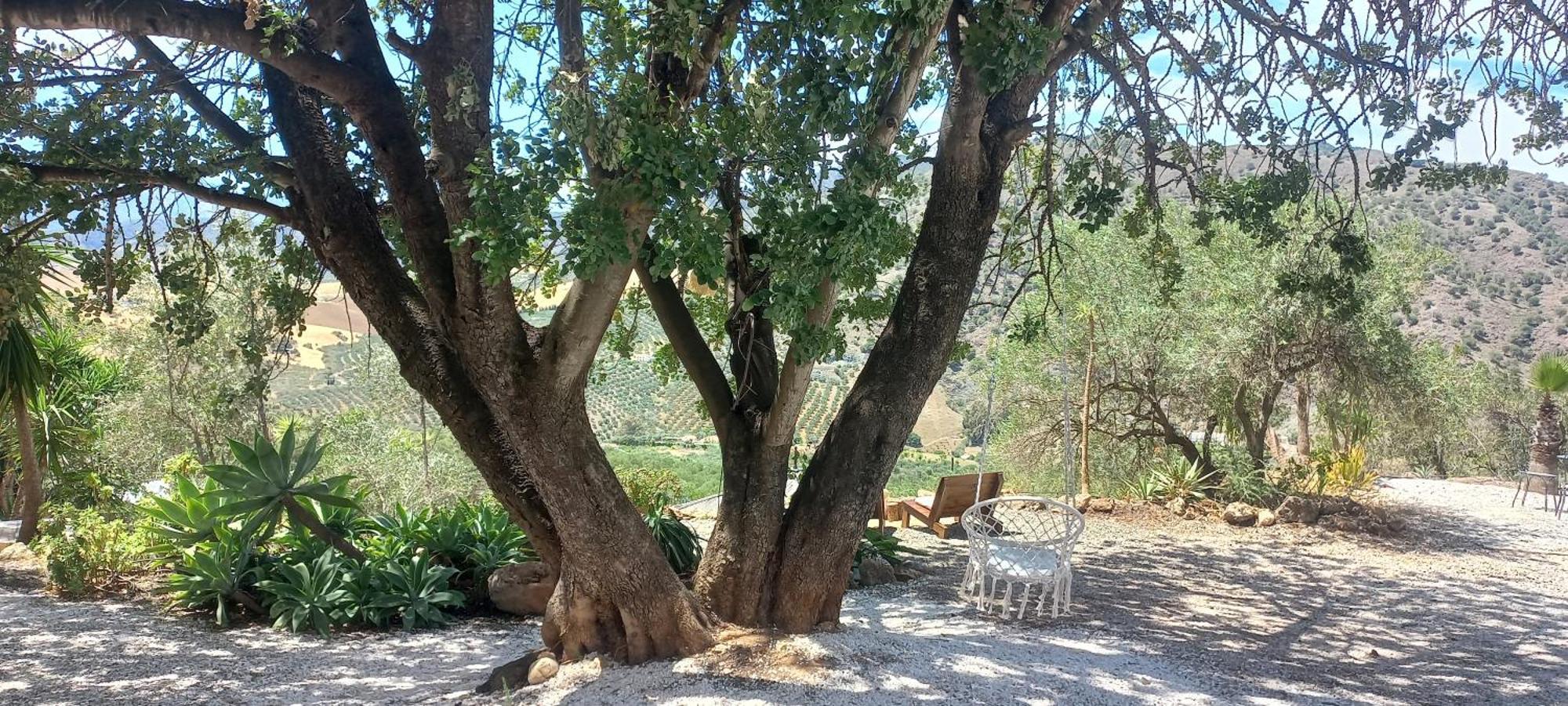 לינה וארוחת בוקר אלורה Casa Del Sueno מראה חיצוני תמונה