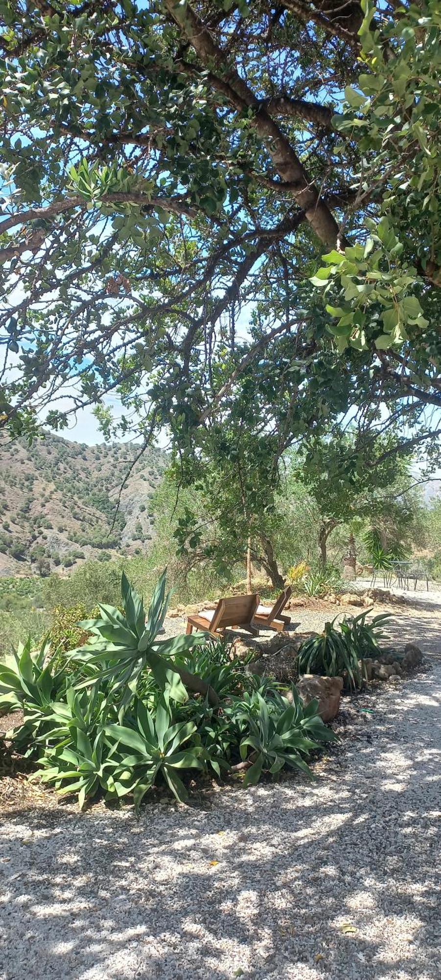 לינה וארוחת בוקר אלורה Casa Del Sueno מראה חיצוני תמונה